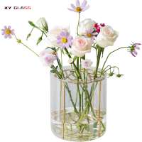 Decorative fancy new design vintage borosilicate glass terrarium vase